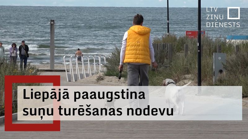 Liepājā paaugstinās nodevu par suņu turēšanu; liegs atrasties peldvietās