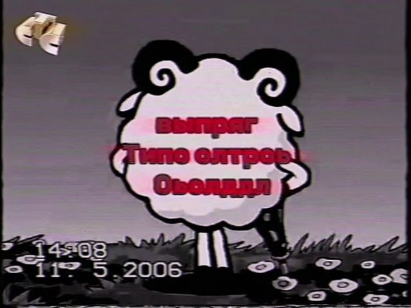 Сбой в эфире СТС или kikoriki anomaly [11.05.2006]_0626.
