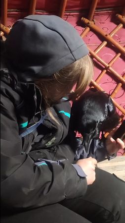 Снимались сегодня в передаче про животных #зоостудияковчег #говорящий...