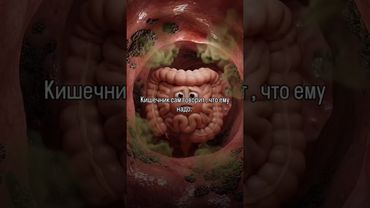 Запах газов - это подсказка от кишечника . #детокс #очищениеорганизма  #кишечник