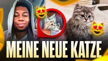 ICH HAB MIR EINE NEUE KATZE GEHOLT!😍🐈