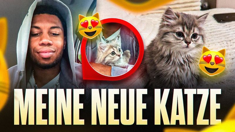 ICH HAB MIR EINE NEUE KATZE GEHOLT!😍🐈