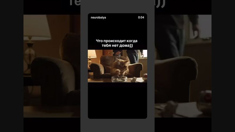 Для настроения. #юмор #шуточное #прикол