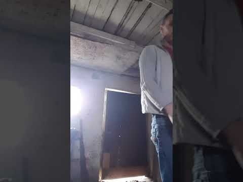 Butcher Boy kill lambs 1