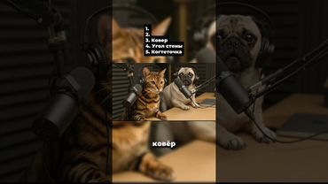 Топ 5 мест где поточить когти