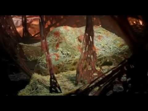 Carretera sin Retorno (Pelicula completa, español)