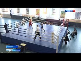 В Цивильске прошел Всероссийский турнир по боксу памяти ветеранов войн Станислава Полещука и Николая