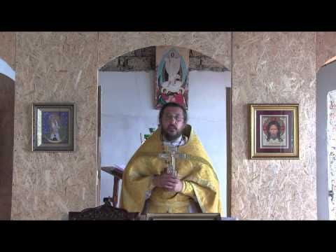 Об исцелении тещи Петра. Cвященик Игорь Сильченков