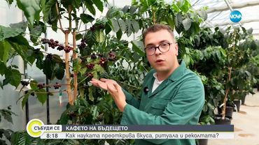 Кафето на бъдещето: Как науката преоткрива вкуса, ритуала и реколтата?