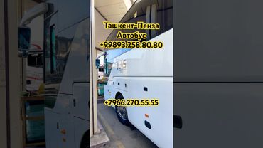 ТАШКЕНТ-ПЕНЗА 2025 АВТОБУС #ташкент #пенза #автобус #ташкент #москва #автобус #рязань #самара #2025