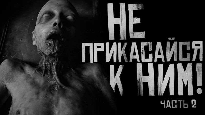 НЕ ПРИКАСАЙСЯ К НИМ! Часть 2. Страшные истории на ночь. Страшилки на ночь.