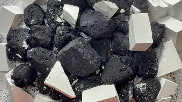 Pasted Jumbos + T Freshies 💕💕