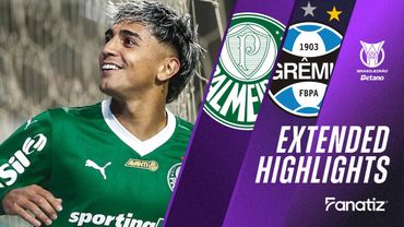Palmeiras vs. Gremio 1 - 0 I Game Highlights I Brasileirão 2025