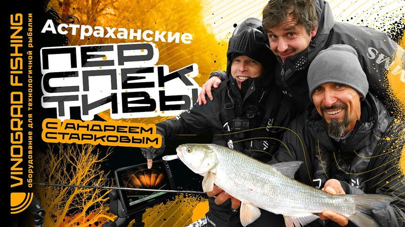 Астраханские перспективы с Андреем Старковым