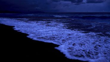 Adormecer em 5 minutos com sons calmantes do oceano durante toda a noite