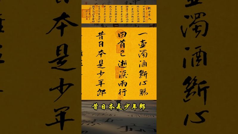《致中年人》一身疲惫独自扛 何人年少不轻狂 #中年人  #人生感悟 #人到中年 #人间清醒 #正能量 #回忆 #一生 #人生的意義 #人生是一场修行 #知音 #谋生 #生活 #现实情感 #真实人生