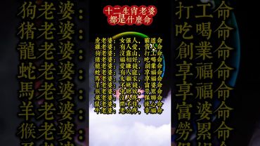 【十二生肖老婆都是什么命】 #人生感悟 #生肖 #財運 #運勢 #屬相 #風水 #命理