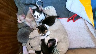 #Славянск. 2 августа 2025г. Вечер.