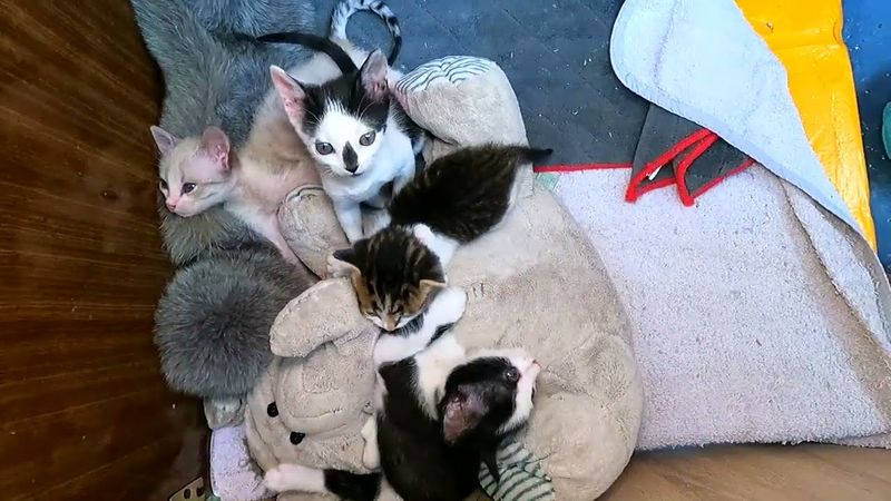 #Славянск. 2 августа 2025г. Вечер.