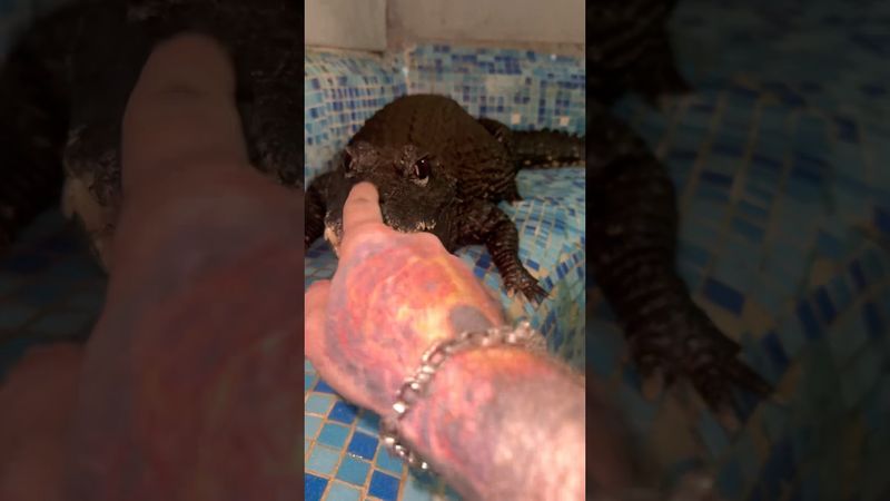 Курдюк Зинаиды