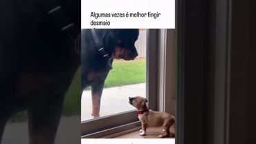 11 de novembro de 2025