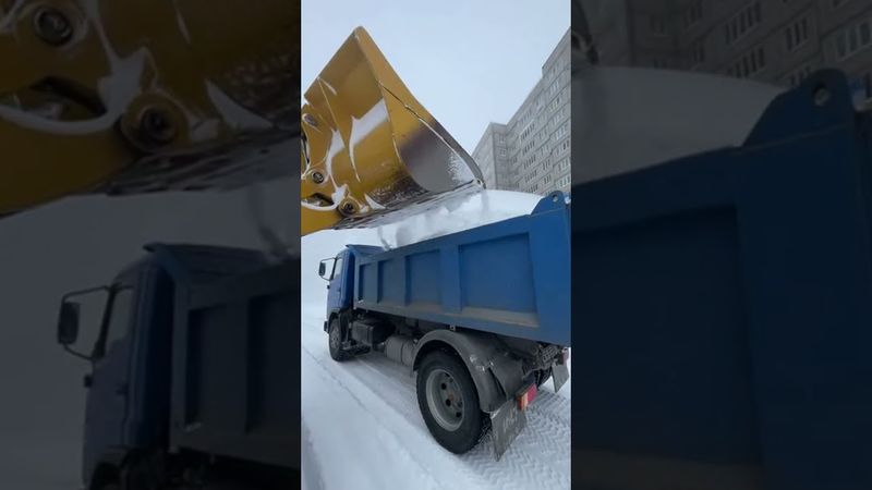 Камчатка уборка 21.01.2026