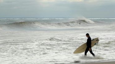 Surfers take advantage of swell caused by Hurricane Erin | AFP