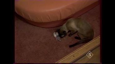 Кабаре “Чёрный кот” (5 канал, ~1997) (фрагмент)