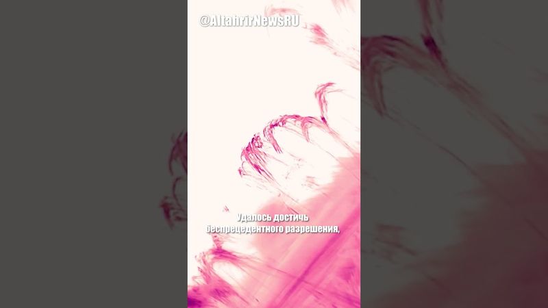 Астрономы получили рекордные детализированные снимки Солнца с Земли