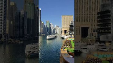 мы хищники сынок 😅#viral #рекомендации #прикол #fyp #humor