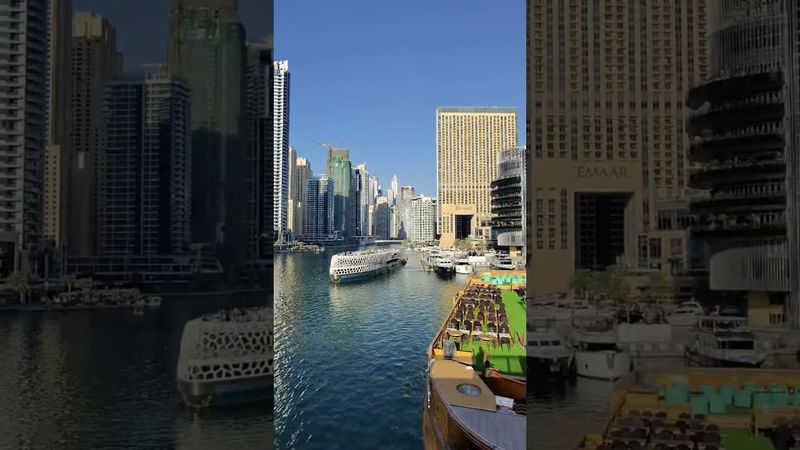 мы хищники сынок 😅#viral #рекомендации #прикол #fyp #humor