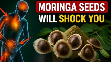 12 Moringa Seed Benefits You'll Never Hear from Your Doctor (But You Should Know)