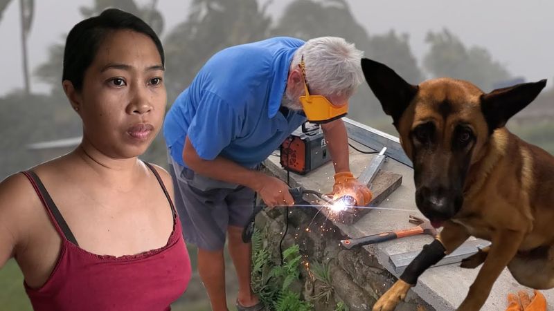 Нам дали разрешение на строительство | Тедди подхватил летроспирос | Будем лечиться всей семьёй