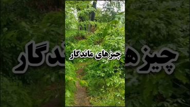 استاد الهی قمشه ای- چیزهای ماندگار