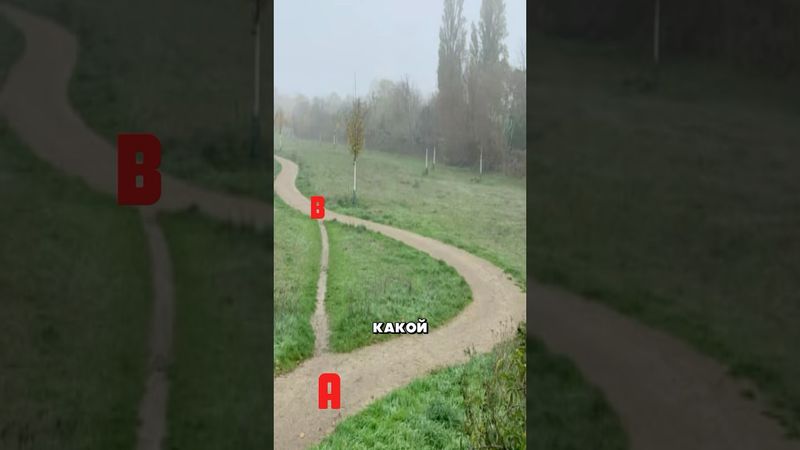 Использование тропинок  #амитеш #дороги