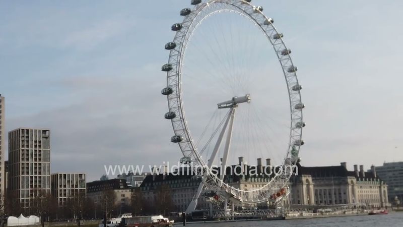 London Cityscape - London Eye, Ferry boats on the Thames and County Hall