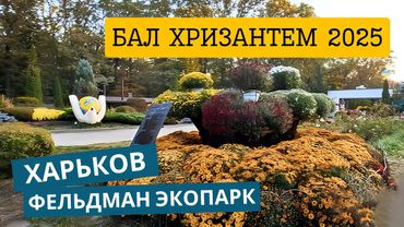 Харьков. Бал Хризантем 2025. Фельдман ЭкоПарк сегодня