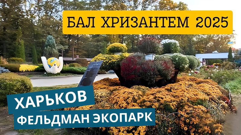 Харьков. Бал Хризантем 2025. Фельдман ЭкоПарк сегодня