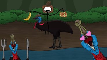 "Казуар или бойтесь эту птицу!" - Академия Сэма О'Неллы (от Брокколи)