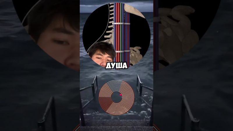 #shorts #кружок #мем #смешно