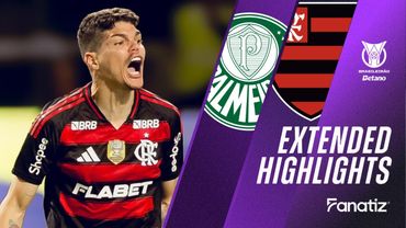 Palmeiras vs. Flamengo 0-2 | Game Highlights | #Brasileirao2025