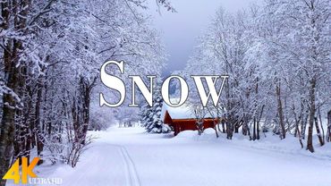 Snow Winter 4K Ultra HD • Enchanting Winter Wonderland, Scenic Relaxation Film with Calming Music.