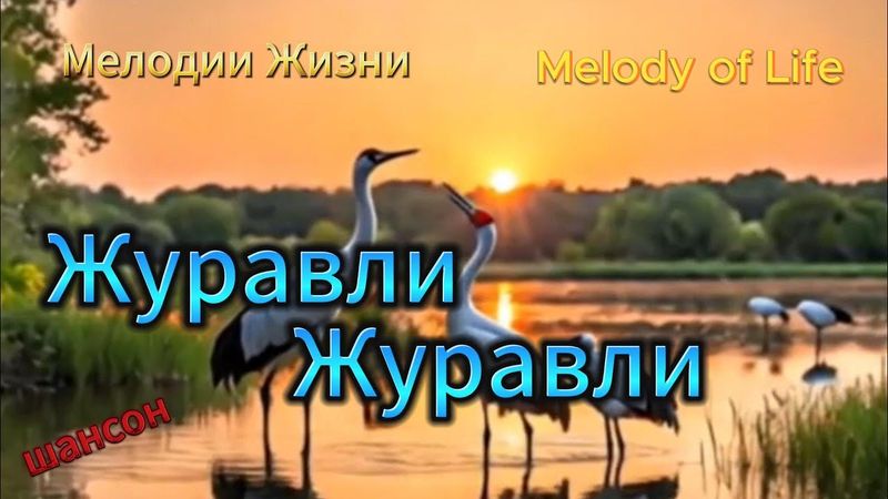 💫Журавли, Журавли, Журавли❤️ Мелодии жизни. Шансон  #мелодиижизни #melodyoflife