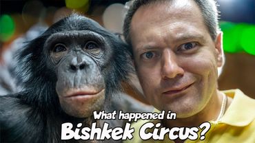 Что Произошло в Цирке Бишкека? Самая Милая Шимпанзе В Мире