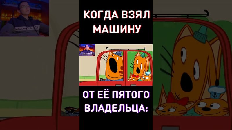 ПАРНИ МОМЕНТ RYTP Три Кота