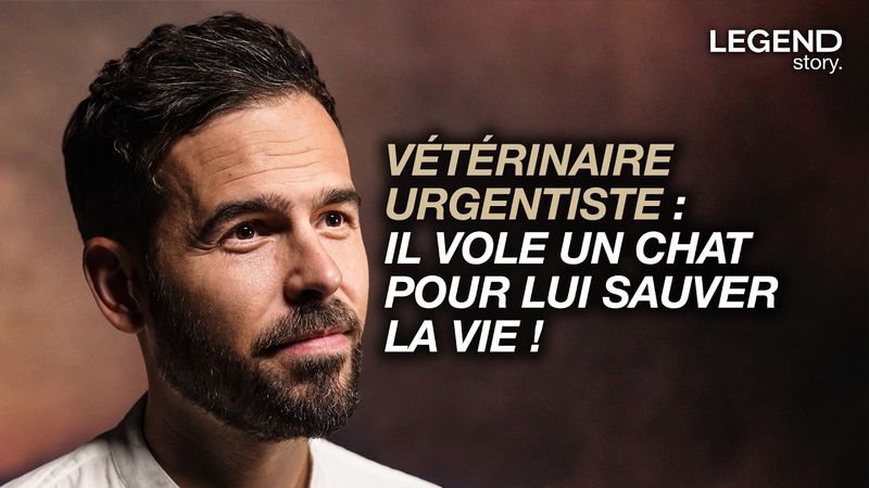 VÉTÉRINAIRE AUX URGENCES ANIMALES: IL SAUVE UN CHAT EMPALÉ APRÈS UNE CHUTE DE 5 ÉTAGES, IL RACONTE