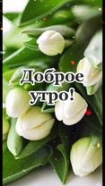 #доброгоутра #пожеланиясдобрымутром #хорошегодня