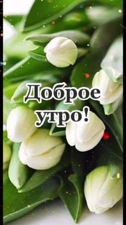 #доброгоутра #пожеланиясдобрымутром #хорошегодня