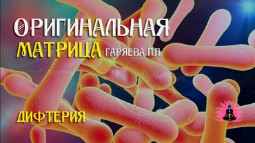 « Дифтерия » ⚠️ Оригинальная матрица Гаряева П.П ☀️ SoftRadio.ru