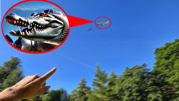 Если Увидишь Бомбардино Крокодила и Брейнрот Итальянских Животных в Реальной Жизни, Беги!!